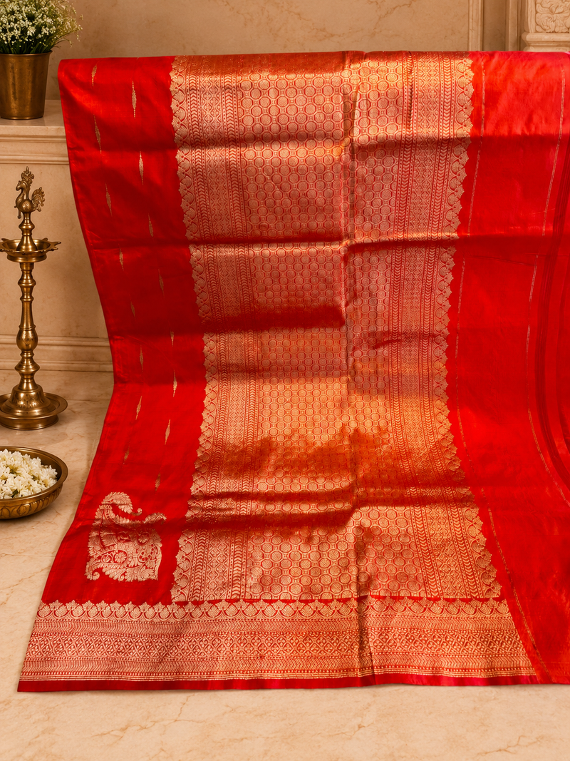 Sucheta: Pure Silk Banarasi, Paisley Pallu