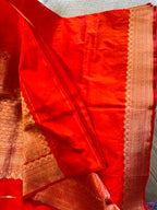 Sucheta: Pure Silk Banarasi, Paisley Pallu