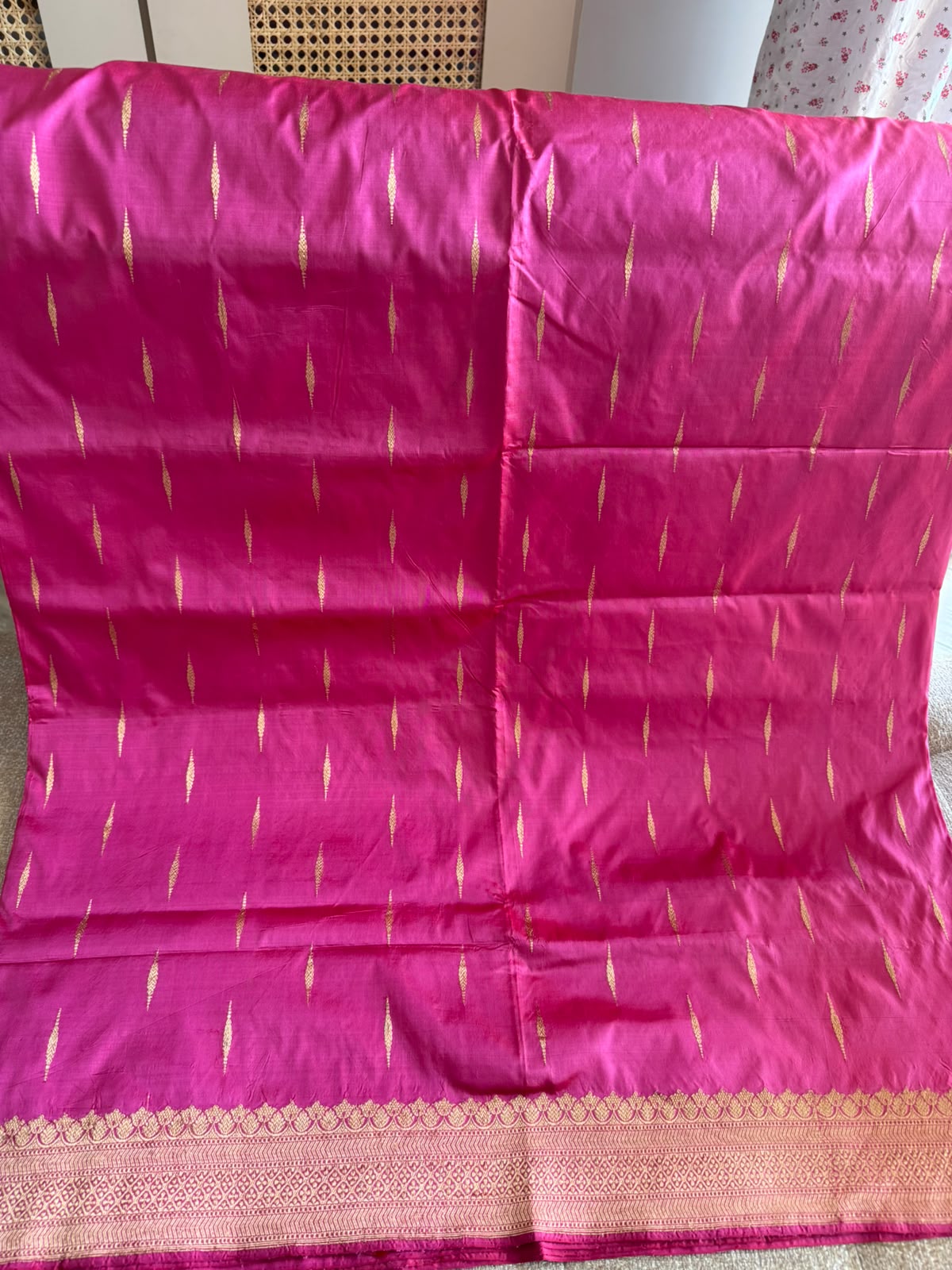 Ragini: Pure Silk Banarasi, Paisley Pallu