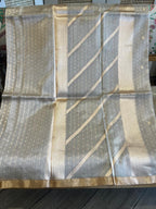 Rekha: Champagne Pure Tissue Banarasi