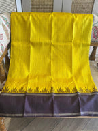 Pitambari: Kattam Kanjeevaram, Korvai Temple Gap Border