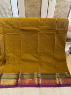 Peetambari: Pure Kanchipuram Cotton Saree
