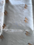 Pihu: Pure Silk Ice Blue Chanderi