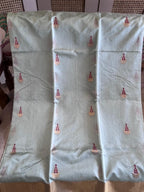 Rajnandini: Pure Silk Chanderi