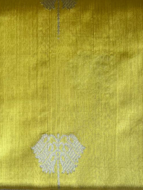 Vibhavari: Pure Silk Black Chanderi