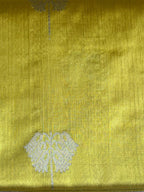 Vibhavari: Pure Silk Black Chanderi